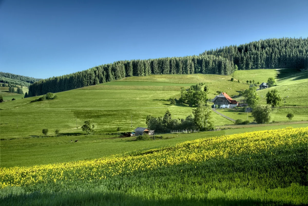 Zadbaj o zdrowie: Proste kroki do lepszego samopoczucia na co dzień!
