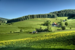 Zadbaj o zdrowie: Kluczowe kroki do lepszego samopoczucia!