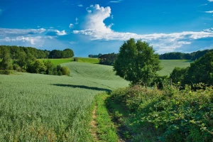 Zadbaj o zdrowie: Kluczowe kroki do lepszego samopoczucia!