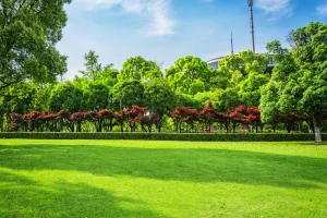 Dobra atmosfera sprzyja zdrowiu: jak pozytywna atmosfera wpływa na nasze zdrowie i dobre samopoczucie